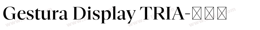Gestura Display TRIA字体转换 Gestura Display TRIA字体转换